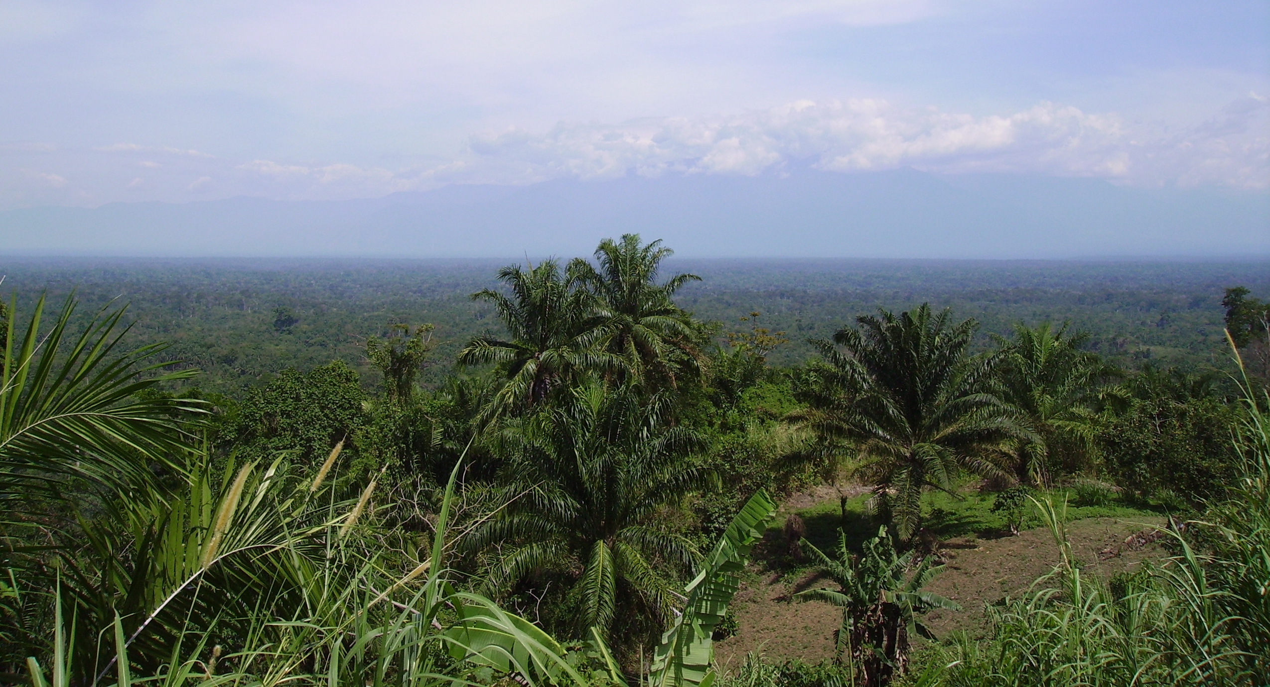 DRC Watalinga