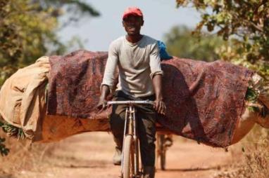 CAFI et le secteur forestier en RDC : les faits et notre position